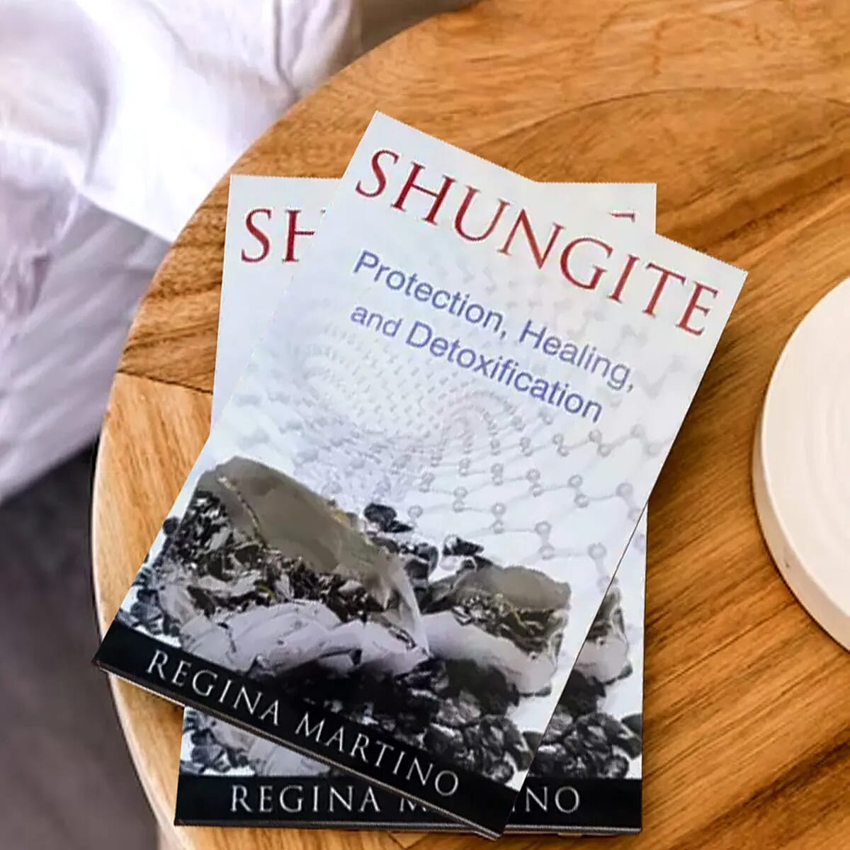 Shungite Protection Healing and Detoxification (Book)