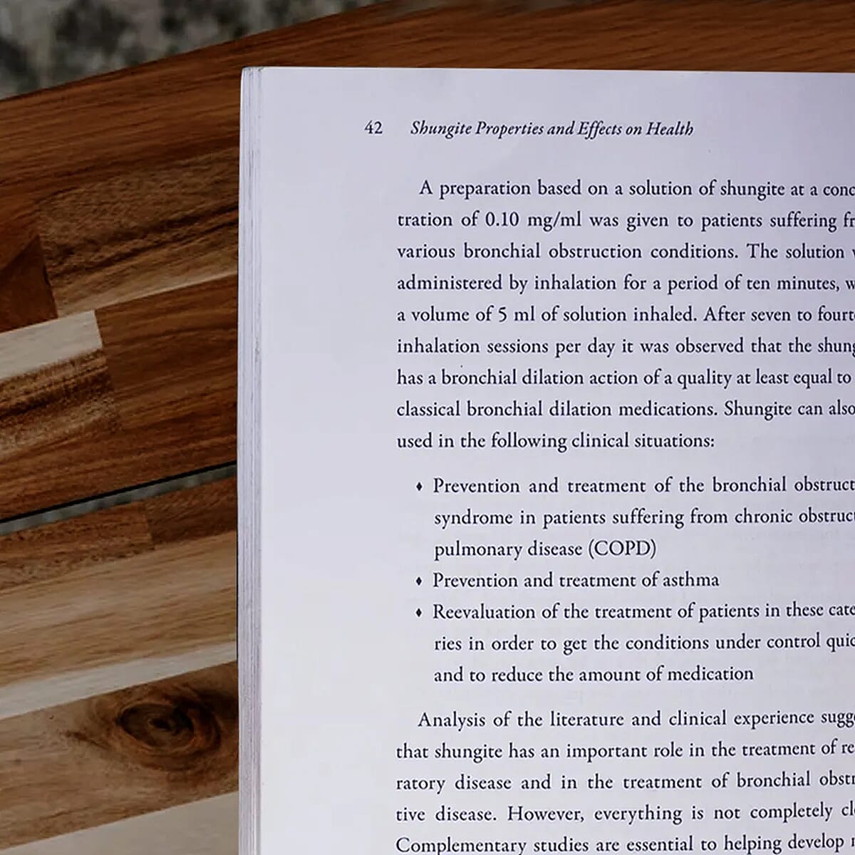 Shungite Protection Healing and Detoxification (Book)