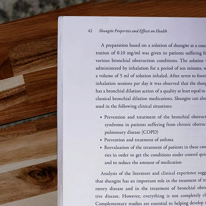 Shungite Protection Healing and Detoxification (Book)