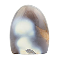 Multi Color Agate Freeform - Small 1048ctw